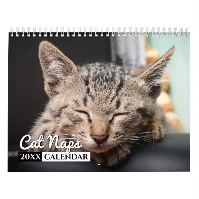 Calendário de Parede Fotográfica do Cat Naps (Capa)