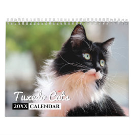 Calendário de Parede Fotográfica do Tuxedo Cats