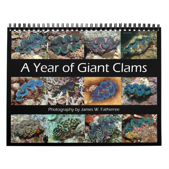 Calendário de Parede Giant Clams 1 por James W. Fa (Capa)