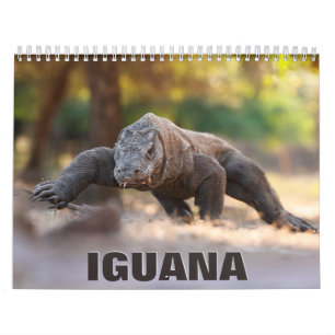 Calendário de Parede Iguana