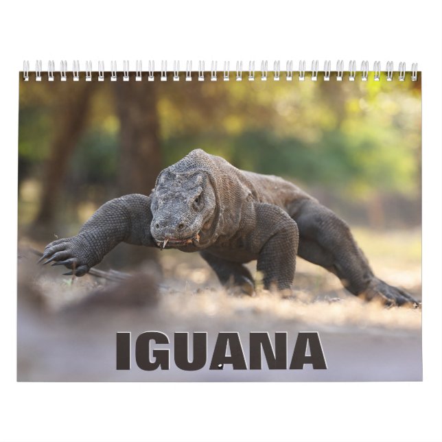Calendário de Parede Iguana (Capa)