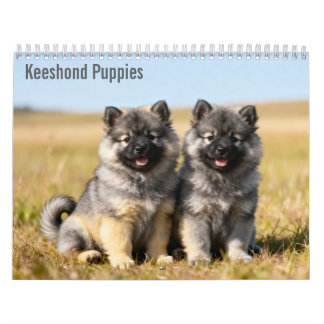 Calendário de Parede Keeshond Puppies 2027
