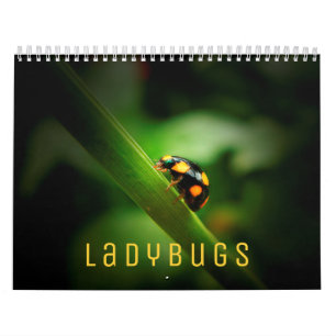Calendário de Parede Ladybugs 2022