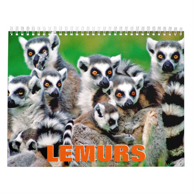Calendário de Parede Lemurs (Capa)