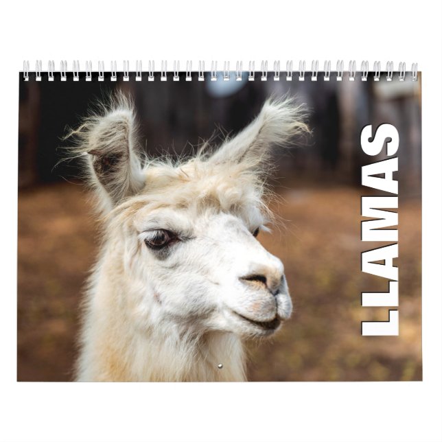 Calendário de Parede Llamas (Capa)