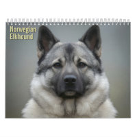 Calendário de Parede Norwegian Elkhound 2027