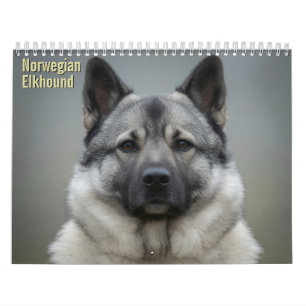 Calendário de Parede Norwegian Elkhound 2027
