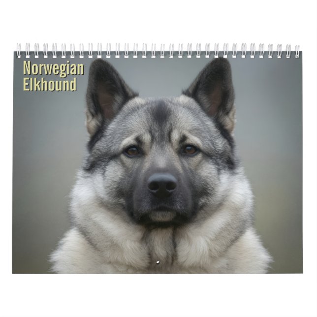 Calendário de Parede Norwegian Elkhound 2027 (Capa)