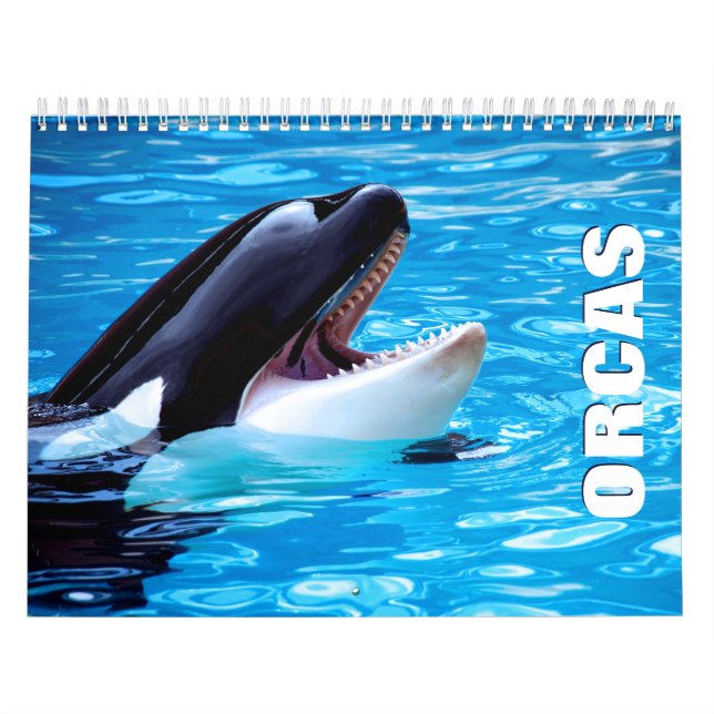 Calendário de Parede Orcas (Capa)