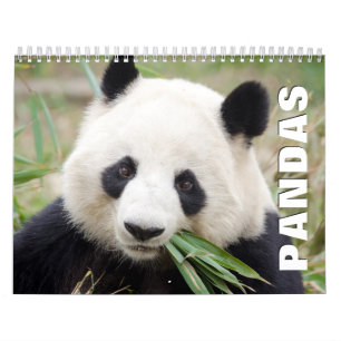 Calendário de Parede Pandas