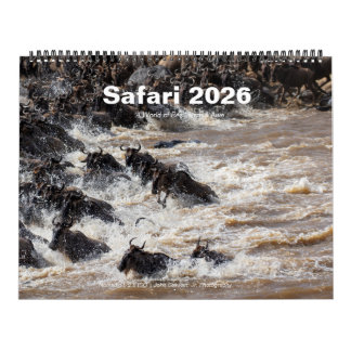 Calendário de Parede Safari Wildlife 2026 (Big Cin