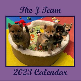 Calendário de Parede Shiba PuppyCam 2023