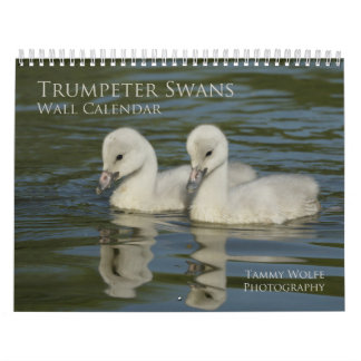 Calendário de Parede Swan de Trombador