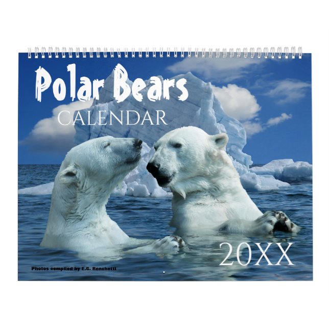Calendário de Parede Temático de Urso Polar 2027 (Capa)