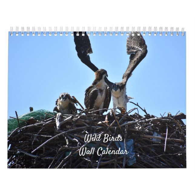 Calendário de Paredes de Aves Selvagens (Capa)