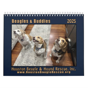 Calendário de paredes de Beagles & Buddies 2025