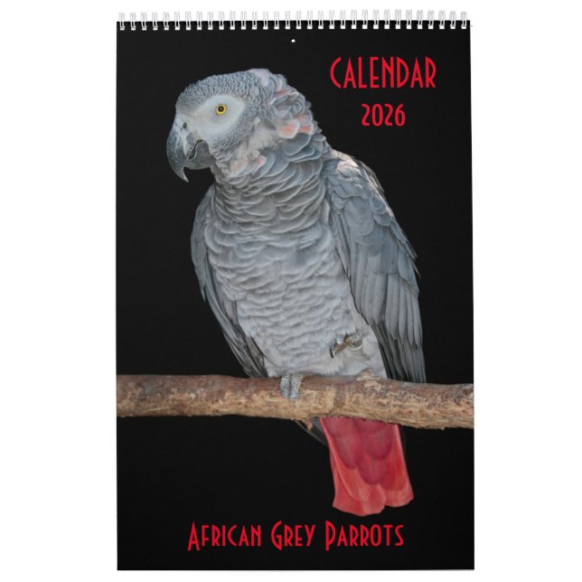 Calendário de Parques de Cinza Africano (Capa)