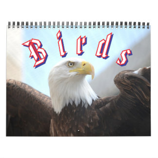 Calendário de Pássaros