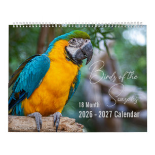 Calendário de Pássaros 18 Meses. Escolha o Mês e A