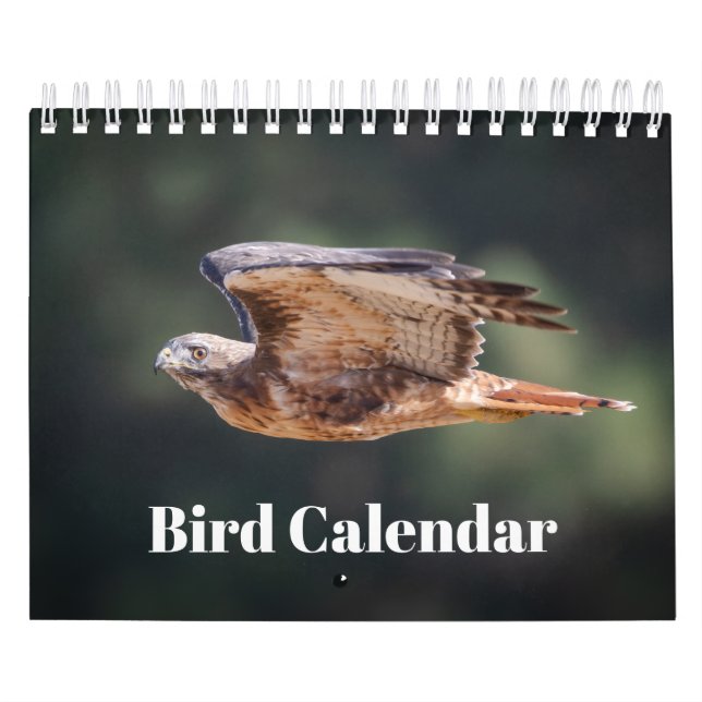 Calendário de Pássaros 2026 (Capa)
