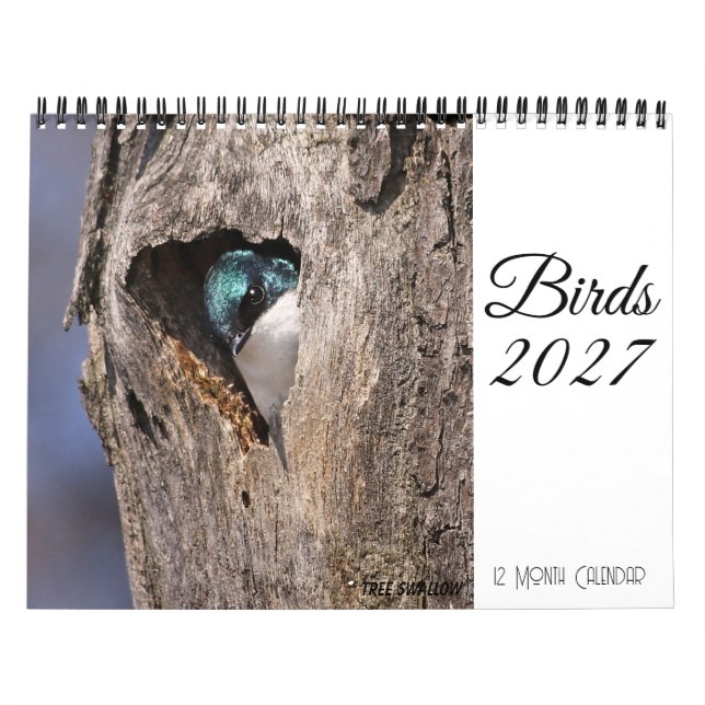 Calendário de Pássaros 2027 (Capa)