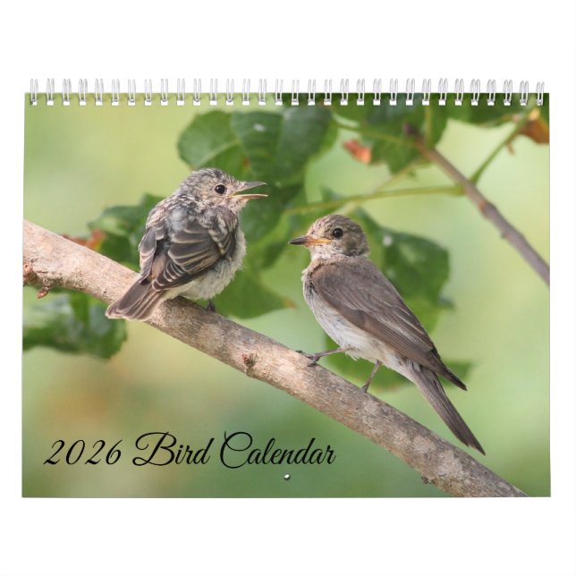 Calendário de Pássaros de 2026 (Capa)