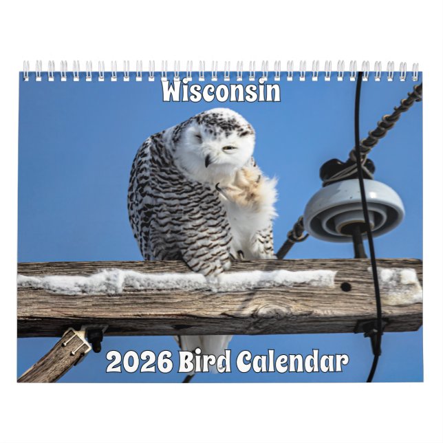 Calendário de Pássaros de Wisconsin 2026 (Capa)