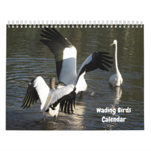 Calendário de Pássaros Desatualizados