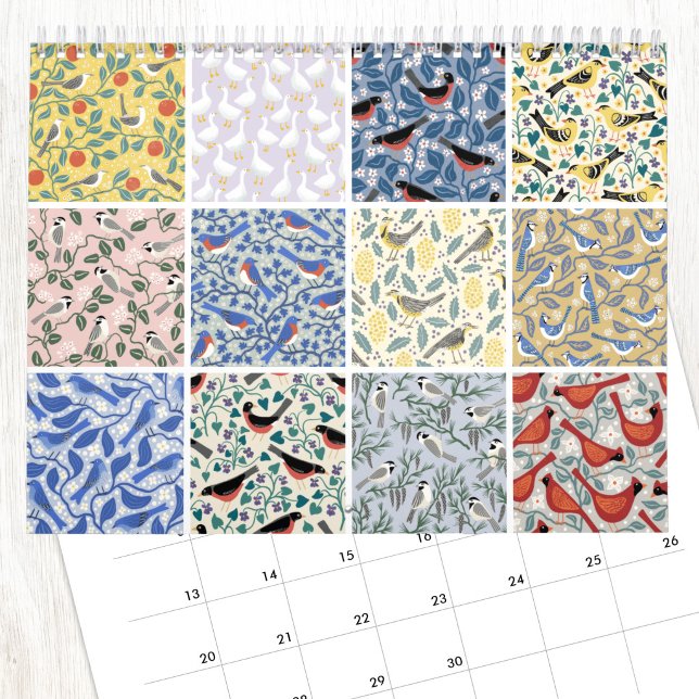 Calendário de Pássaros e Botânicos de Nic Squirrel (Birds and Botanicals art calendar featuring original art by Nic Squirrell. )