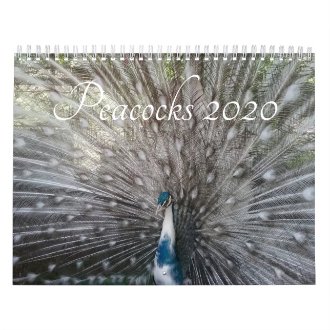 Calendário de Pavões (Capa)