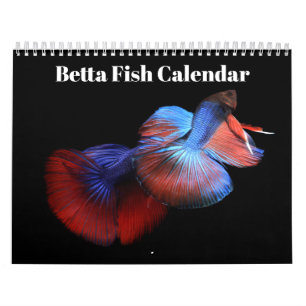 Calendário de peixes Betta 2027