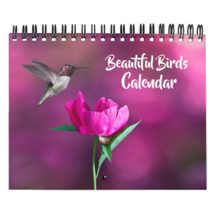 Calendário de Pequeno Tamanho de Lindos Pássaros
