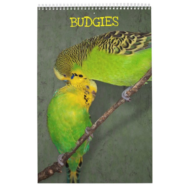Calendário de Periquitos (Capa)