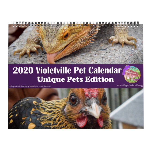 Calendário de Pet Violetville 2020 ~ Edição Pet Ex (Capa)