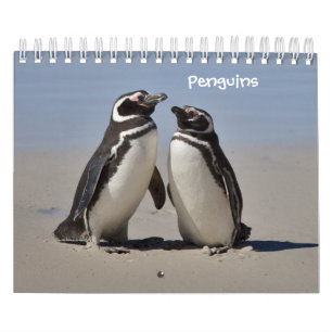 Calendário de Pinguins