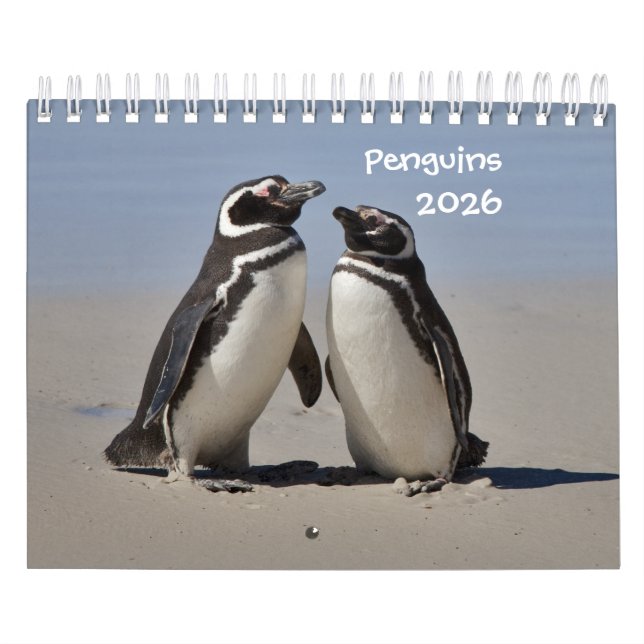 Calendário de Pinguins (Capa)