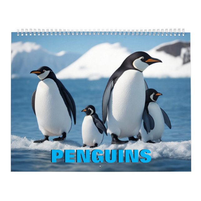 Calendário de Pinguins (Capa)