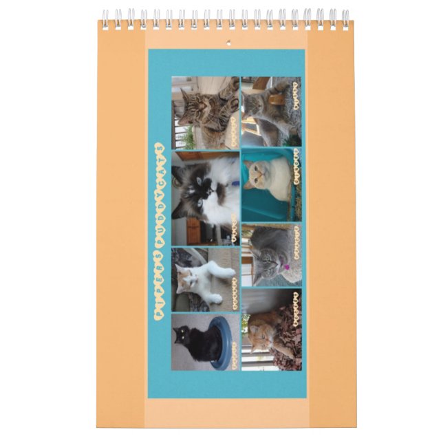 Calendário de PipersPuddycats 2020 (Capa)