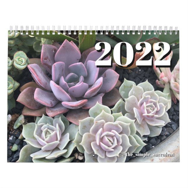 Calendário de Planta com Suculência Colorida 2022 (Capa)