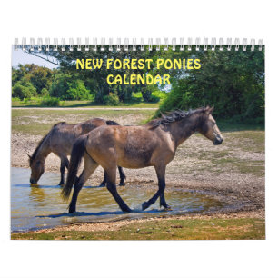 Calendário de Pôneis da Nova Floresta