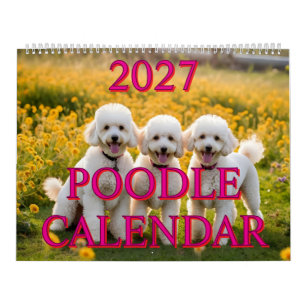 CALENDÁRIO DE POODLE 2027