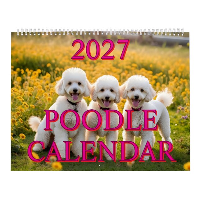 CALENDÁRIO DE POODLE 2027 (Capa)