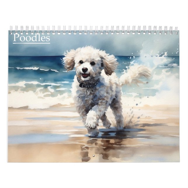 Calendário de Poodles, qualquer ano (Capa)