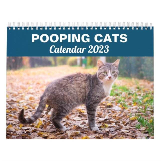 Calendário de Pooping Cats Engraçado Personalizado (Capa)