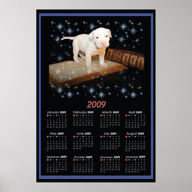 Calendário de Poster de Muro de 2009 da Luna (Frente)