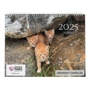 Calendário de preciosos para 2025