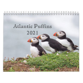 Calendário de Puffin Atlântico 2021