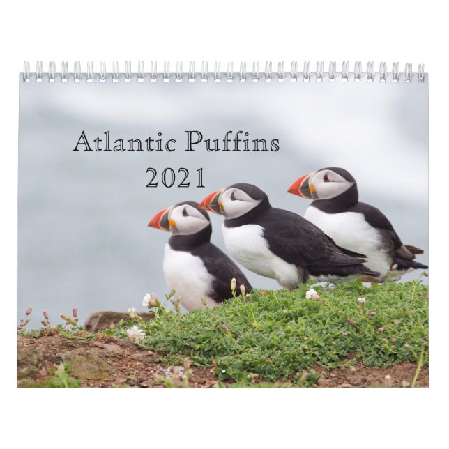 Calendário de Puffin Atlântico 2021 (Capa)