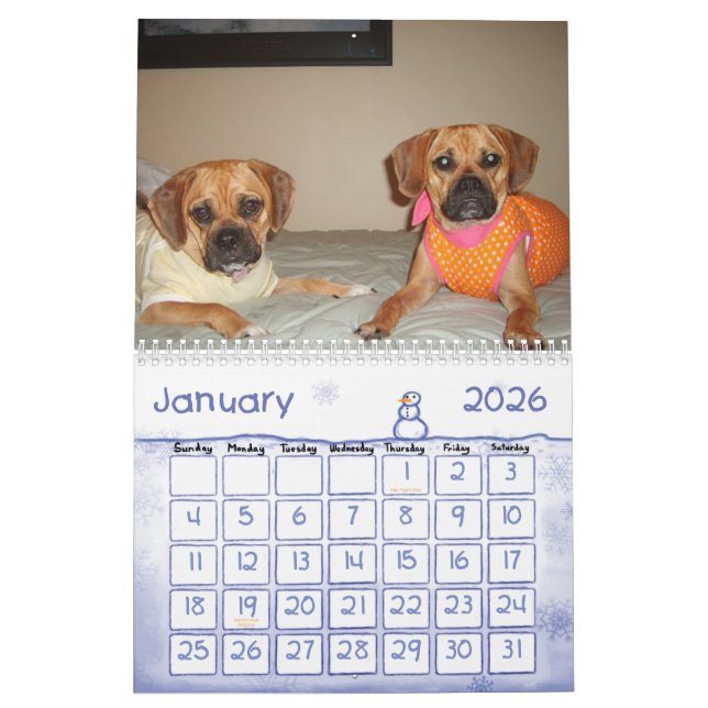 Calendário de Puggle (Jan 2026)
