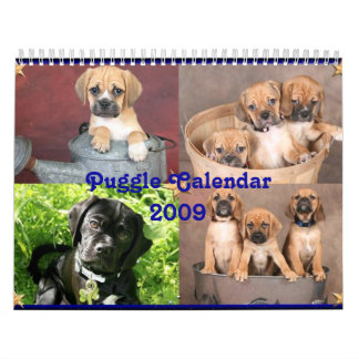 Calendário de Puggle